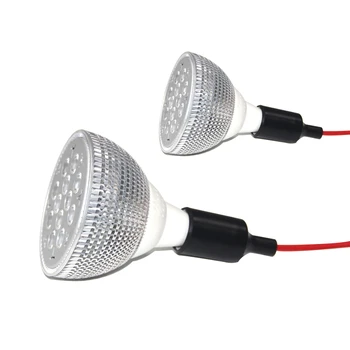 LED Vermelha da Terapia da Luz de Lâmpada, Anti-envelhecimento Infravermelho Próximo 850nm 660nm Substituível Lâmpada Para o Corpo Inteiro com a Pele Alívio da Dor Ferramenta de Cuidados