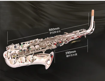 E-plano saxofone alto para crianças e adultos para iniciantes Eb Latão banhado a Níquel Saxofone