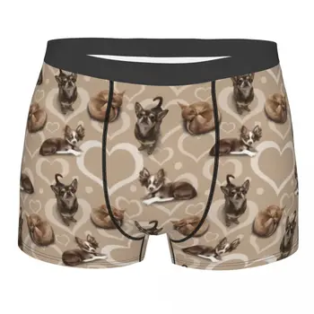 Sexy, Bonito Chihuahua Cachorrinho Padrão De Boxers Shorts, Cuecas Masculinas Confortável Amante Do Cão Cuecas Cueca